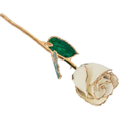 JDSP61-9149 LACQUERED WHITE ROSE WITH GOLD TRIM - Johnny Dang & Co