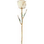 JDSP61-9149 LACQUERED WHITE ROSE WITH GOLD TRIM - Johnny Dang & Co
