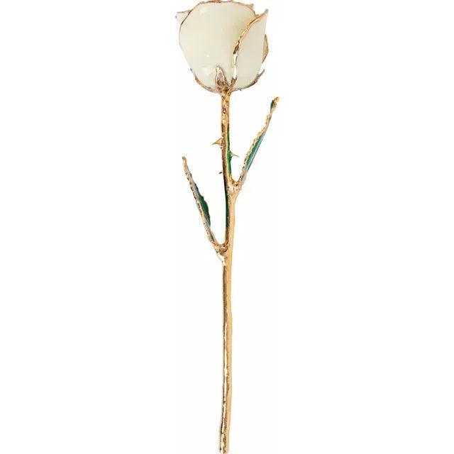 JDSP61-9149 LACQUERED WHITE ROSE WITH GOLD TRIM - Johnny Dang & Co