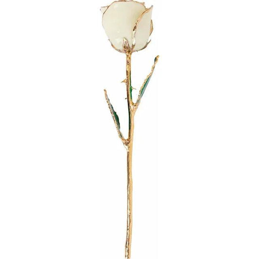 JDSP61-9149 LACQUERED WHITE ROSE WITH GOLD TRIM - Johnny Dang & Co