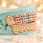 JDWR-C107B- 6 TOP OR 6 BOTTOM MULTI COLOR PAVE SET GRILL