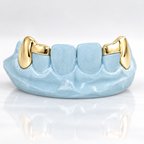 JDWR-S2530023 Gold teeth