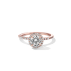 Halo Pave