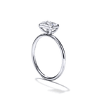 Unbridaled Bezel