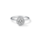 Halo