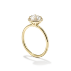 Halo