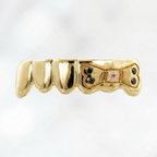 JDWR-S141124-1 6 Teeth In Yellow Gold with Engraved Dog Bone