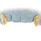 2 Teeth Short Fang Grillz with Back bar - Johnny Dang & Co