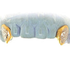 2 Teeth Short Fang Grillz with Back bar - Johnny Dang & Co