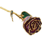 JDSP61-9065 LACQUERED PURPLE & PINK ROSE WITH GOLD TRIM - Johnny Dang & Co