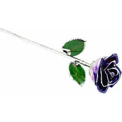 JDSP61-9169 - Lacquered Purple Rose with Platinum Trim - Johnny Dang & Co
