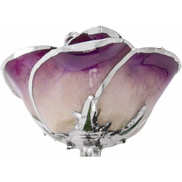 JDSP61-9169 - Lacquered Purple Rose with Platinum Trim - Johnny Dang & Co