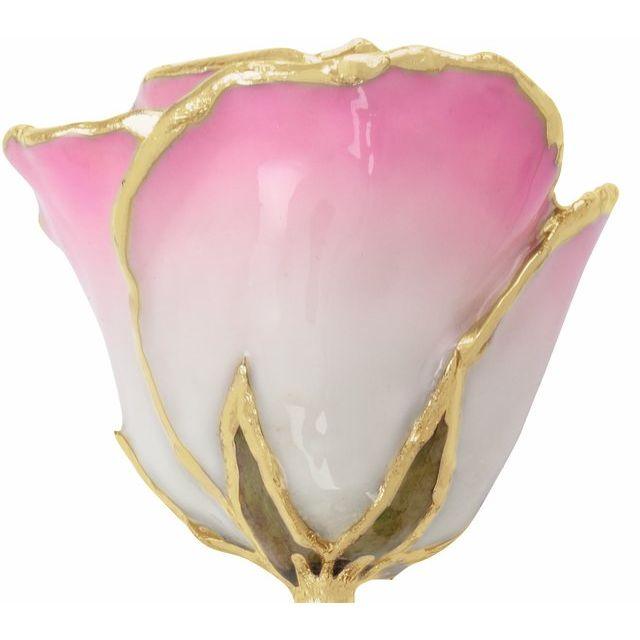 JDSP61-9146 Lacquered Cream Pink Rose with Gold Trim - Johnny Dang & Co