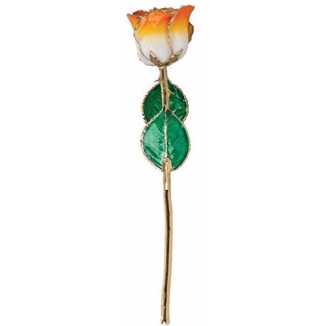 Lacquered Roses With Gold/ Platinum Trim – Johnny Dang & Co