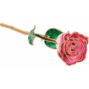 JDSP61-9043-Lacquered Cream Magenta Rose with Gold Trim - Johnny Dang & Co