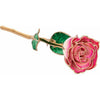 JDSP61-9043-Lacquered Cream Magenta Rose with Gold Trim - Johnny Dang & Co