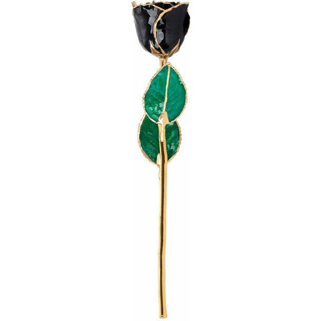 JDSP61-9045 - Lacquered Black Rose with Gold Trim - Johnny Dang & Co