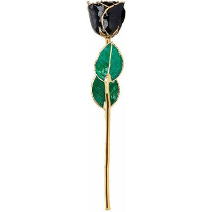 JDSP61-9045 - Lacquered Black Rose with Gold Trim - Johnny Dang & Co