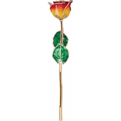JDSP61-9058 - Lacquered Sunset Yellow & Red Rose with Gold Trim - Johnny Dang & Co