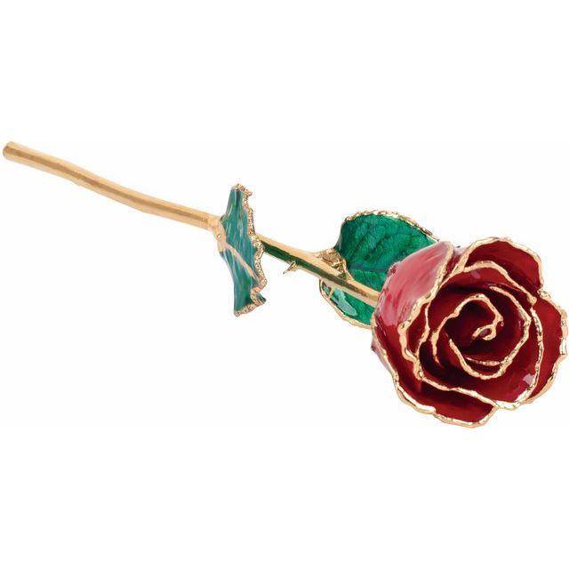 JDSP61-9088 -Lacquered Ruby Colored Rose with Gold Trim - Johnny Dang & Co