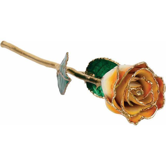 JDSP 61-9042 - Lacquered Cream Orange Rose with Gold Trim - Johnny Dang & Co
