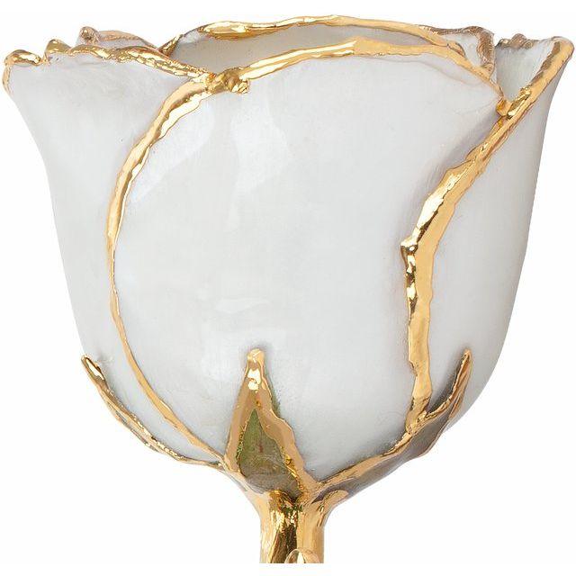 JDSP61-9087 - Lacquered Pearl Colored Rose with Gold Trim - Johnny Dang & Co