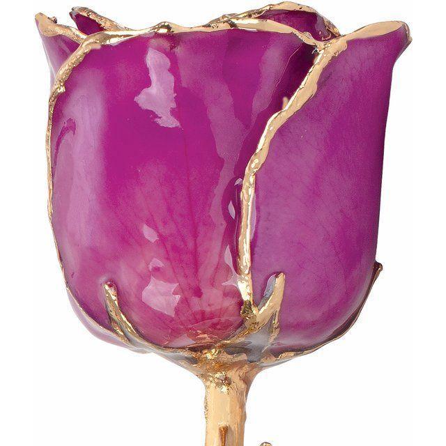 JDSP61-9053 - Lacquered Amethyst Colored Rose with Gold Trim - Johnny Dang & Co