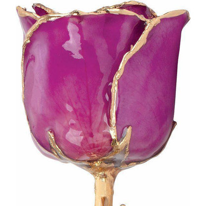 JDSP61-9053 - Lacquered Amethyst Colored Rose with Gold Trim - Johnny Dang & Co