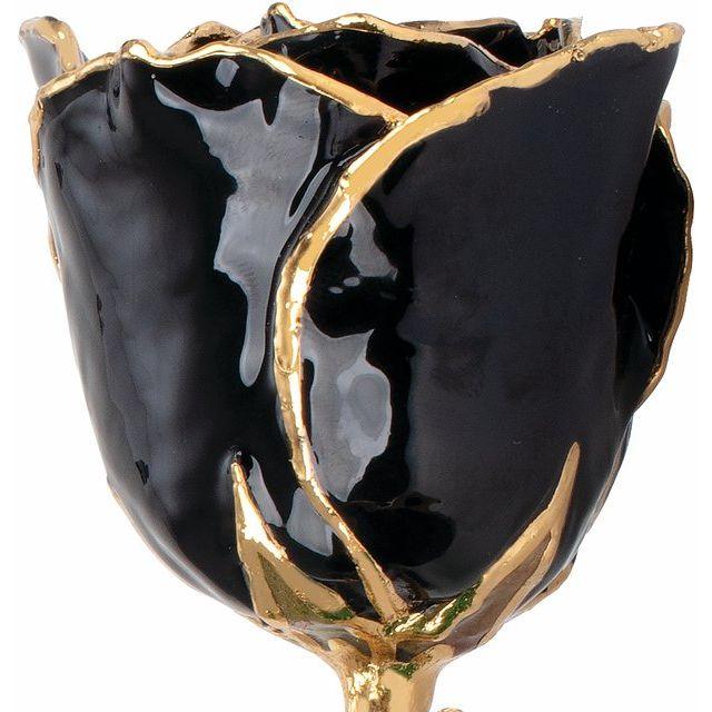 JDSP61-9045 - Lacquered Black Rose with Gold Trim - Johnny Dang & Co