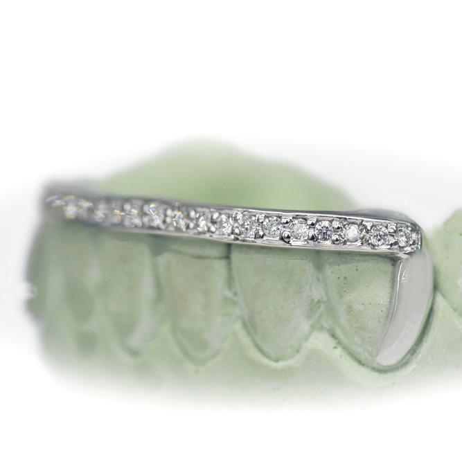 10k Bottom FL Diamond Grillz - Johnny Dang & Co