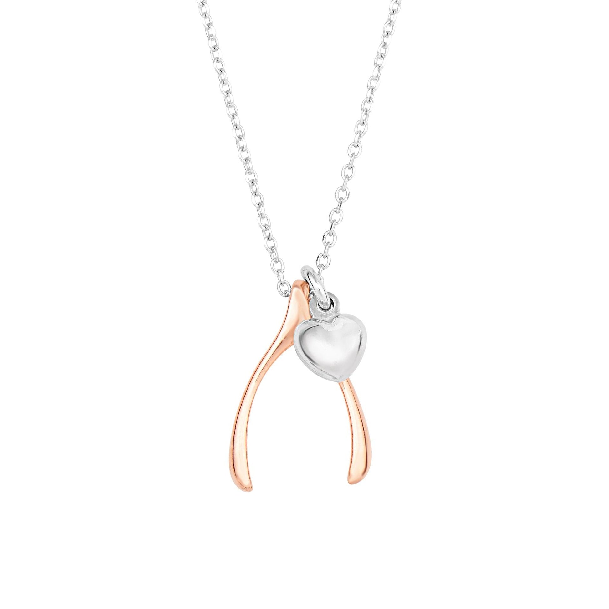 Silver Wishbone Necklace - Johnny Dang & Co