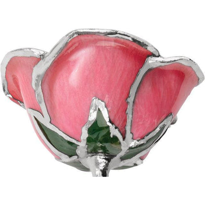 JDSP61-9168 LACQUERED PINK ROSE WITH PLATINUM TRIM - Johnny Dang & Co