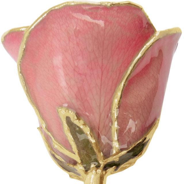 JDSP61-9147 LACQUERED PINK ROSE WITH GOLD TRIM - Johnny Dang & Co