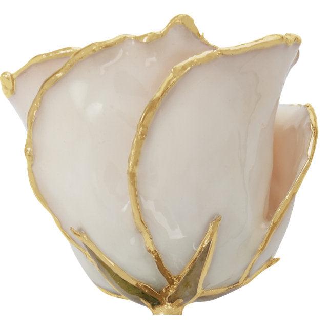 JDSP61-9149 LACQUERED WHITE ROSE WITH GOLD TRIM - Johnny Dang & Co