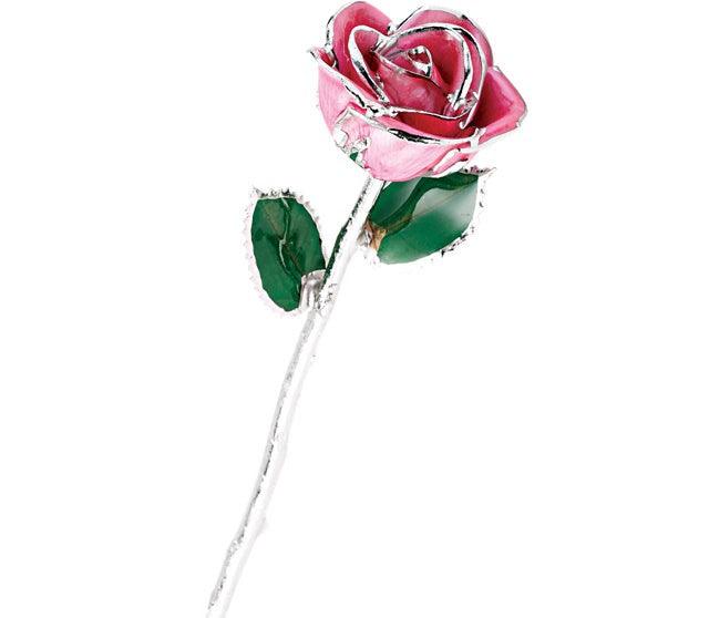 JDSP61-9168 LACQUERED PINK ROSE WITH PLATINUM TRIM - Johnny Dang & Co