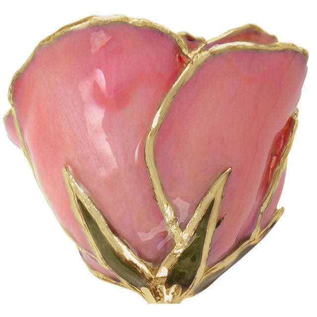 JDSP61-9060 LACQUERED PINK PEARL ROSE WITH GOLD TRIM - Johnny Dang & Co